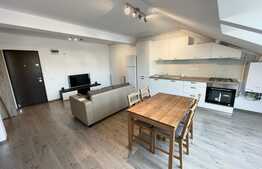 Apartament cochet, 2 camere, 49 mp, zona strazii Dumitru Mocanu!