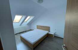 Apartament cochet, 2 camere, 49 mp, zona strazii Dumitru Mocanu!