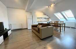 Apartament cochet, 2 camere, 49 mp, zona strazii Dumitru Mocanu!