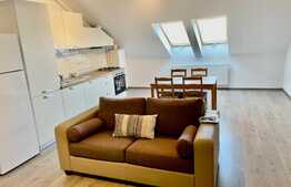 Apartament cochet, 2 camere, 49 mp, zona strazii Dumitru Mocanu!