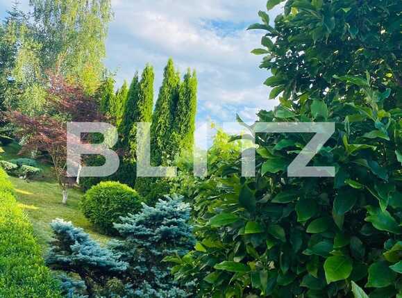 Casa de închiriat 5 camere Făget - 74898CI | BLITZ Cluj-Napoca | Poza13