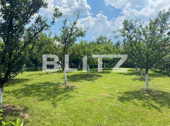 Casa de închiriat 5 camere Făget - 74898CI | BLITZ Cluj-Napoca | Poza14