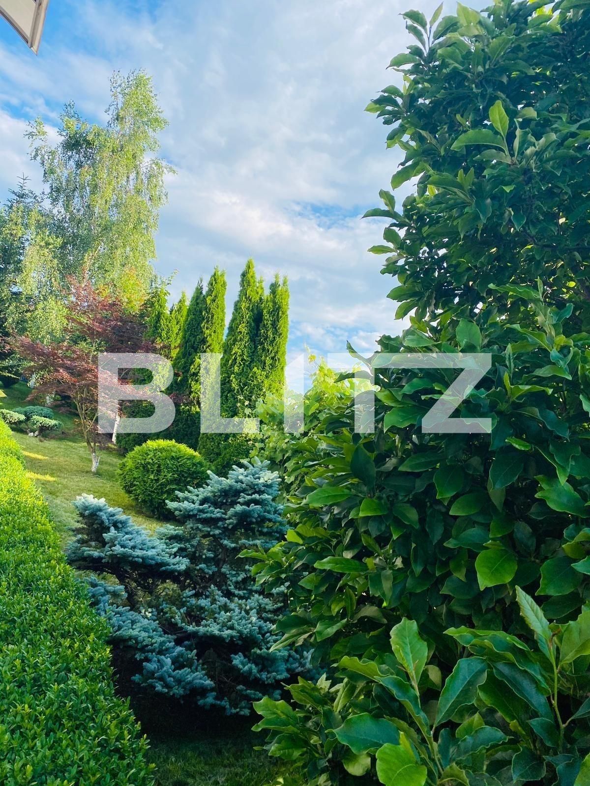 Casa de închiriat 5 camere Făget - 74898CI | BLITZ Cluj-Napoca | Poza13