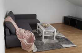 Apartament cu doua camere, parcare cu CF, pret avantajos!