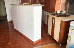 Apartament 1 camera, 40 mp, parcare subterana, terasa 30 mp, zona Piata 1 Mai