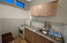 Garsoniera, recent renovata, 30 mp, pet-friendly, zona Profi