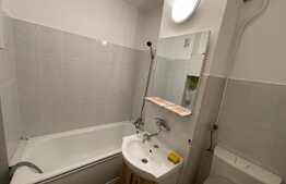 Garsoniera, recent renovata, 30 mp, pet-friendly, zona Profi