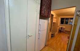 Garsoniera, recent renovata, 30 mp, pet-friendly, zona Profi