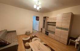 Garsoniera, recent renovata, 30 mp, pet-friendly, zona Profi