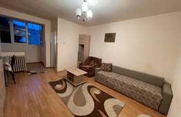 Garsoniera, recent renovata, 30 mp, pet-friendly, zona Profi