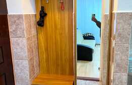 Apartament  2 camere, recent renovat, 37mp, Manastur , Pet friendly