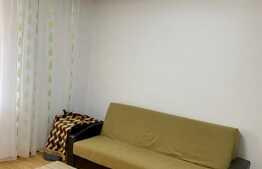 Apartament  2 camere, recent renovat, 37mp, Manastur , Pet friendly