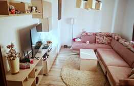 Apartament cu 2 camere decomandate, zona Petrom, Baciu 