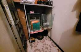  De vanzare apartament 2 camere, 50,11 mp, decomandat, in zona strazii Fabricii