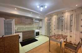 Apartament 3 camere, 55 mp, imobil nou, zona Muzeul Apei