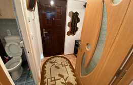 Garsoniera de 34 mp, balcon, mobilata, zona Noua 