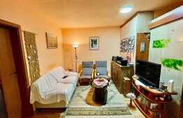 Apartament 3 camere, 60 mp, zona strazii Somesului!