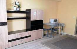 Garsoniera decomandata, mobilat modern, 23 mp, zona strazii Cojocnei, Marasti