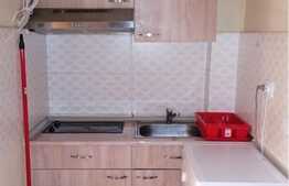 Garsoniera decomandata, mobilat modern, 23 mp, zona strazii Cojocnei, Marasti