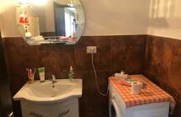 Casa renovata,110 mp utili, 20 km de Brasov, Rotbav