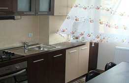 Apartament 2 camere, 50 mp, parcare subterana, pet friendly,  zona Fsega