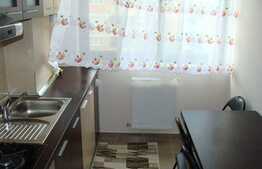 Apartament 2 camere, 50 mp, parcare subterana, pet friendly,  zona Fsega