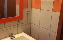 Apartament 1 camera, gradina, loc de parcare, zona strazii Campului