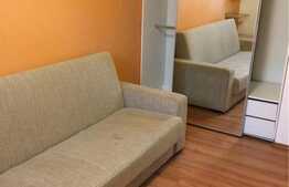 Apartament 1 camera, gradina, loc de parcare, zona strazii Campului