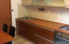 Apartament 1 camera, gradina, loc de parcare, zona strazii Campului