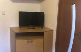 Apartament 1 camera, gradina, loc de parcare, zona strazii Campului