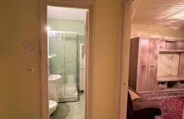 Apartament 2 camere, 40 mp, zona strazii Grigore Alexandrescu