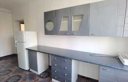 Apartament 1 camera, 40 mp, centrala termica, zona strazii Horea