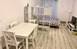 Apartament 1 camera mobilat modern, 50mp, zona OMV,  Calea Turzii