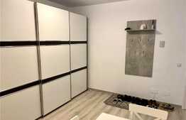 Apartament 1 camera mobilat modern, 50mp, zona OMV,  Calea Turzii
