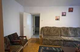 Apartament 2 camere, 50 mp, recent renovat, zona C-tin Brancusi