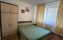 Apartament 2 camere, 50 mp, recent renovat, zona C-tin Brancusi