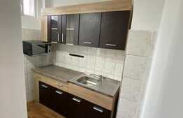 Garsoniera de inchiriat, 28 mp, decomandata, zona Bucegi