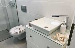 Apartament 2 camere, 40 mp, terasa 15 mp, zona Donath Park