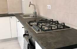 Apartament 2 camere, 40 mp, terasa 15 mp, zona Donath Park