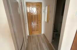 Garsoniera de inchiriat, 28 mp, decomandata, zona Bucegi