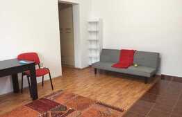Apartament 2 camere, balcon, parcare, Manastur