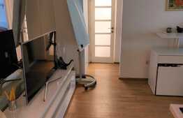 3 camere, 60 mp, zona strazii Horea. Disponibil cu 1 Martie