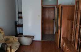 Apartament 1 camera, balcon, zona McDonald's, Manastur