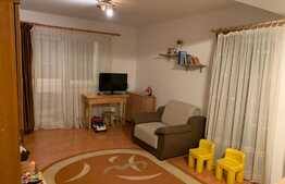 Apartament de 2 camere, zona Muzeul Apei, 52mp