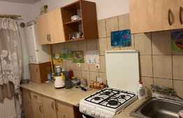 Apartament de 2 camere, zona Muzeul Apei, 52mp