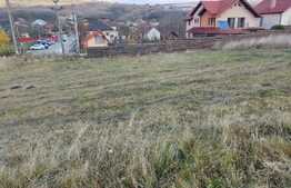 Teren intravilan de 1022 mp in Chinteni