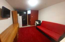 Garsoniera de 28 mp, proaspat renovata, Intre Lacuri!