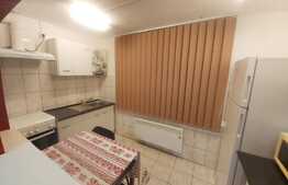 Garsoniera de 28 mp, proaspat renovata, Intre Lacuri!