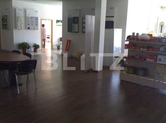 Spațiu industrial de închiriat Apahida - 75439SII | BLITZ Cluj-Napoca | Poza7