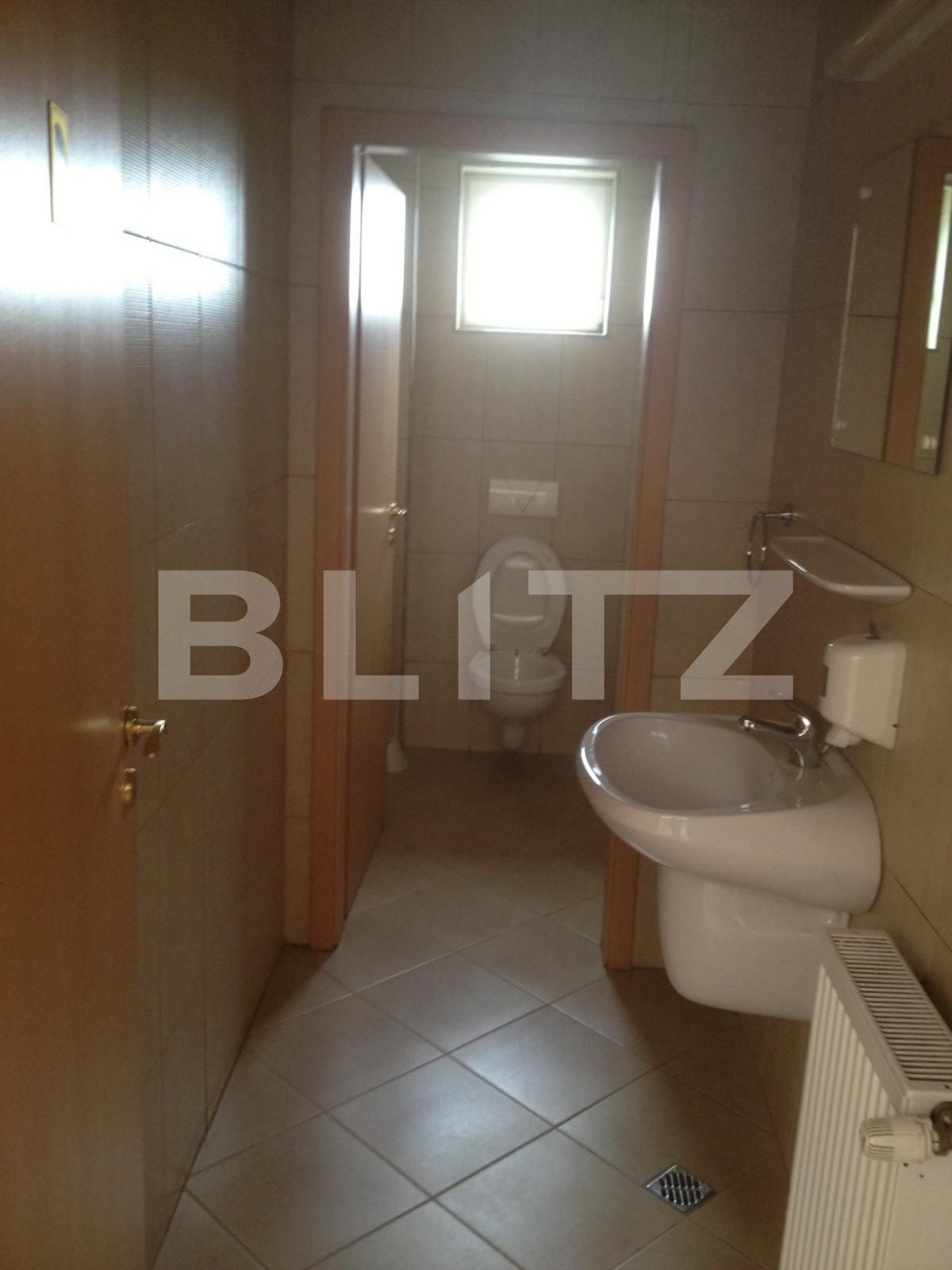 Spațiu industrial de închiriat Apahida - 75439SII | BLITZ Cluj-Napoca | Poza3